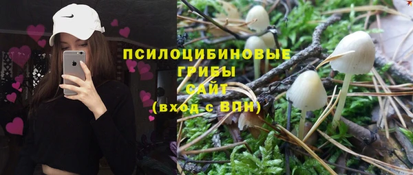 гидропоника Арсеньев