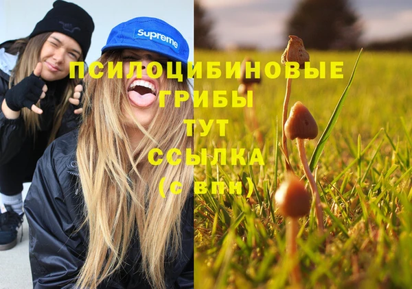 каннабис Аркадак
