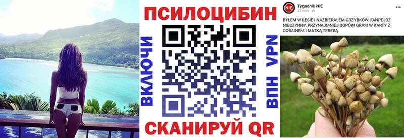Галлюциногенные грибы мицелий где купить наркотик Грайворон